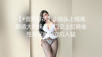 【#壹屌寻花】小陈头上场高颜值大奶妹子，口交上位骑坐性感屁股站立后入猛