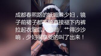 成都春熙路的妩媚辣少妇，镜子前裙子都不脱直接褪下内裤拉起衣服后入啪啪，艹得沙沙响，少妇很享受的叫了出来！