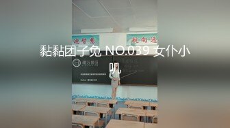 黏黏团子兔 NO.039 女仆小叽