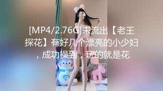 [MP4/2.76G]未流出【老王探花】有好几个漂亮的小少妇，成功操到，玩的就是花