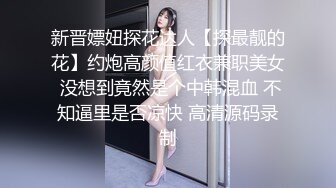 新晋嫖妞探花达人【探最靓的花】约炮高颜值红衣兼职美女 没想到竟然是个中韩混血 不知逼里是否凉快 高清源码录制