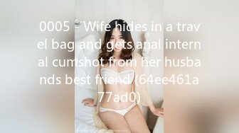 0005 - Wife hides in a travel bag and gets anal internal cumshot from her husbands best friend (64ee461a77ad0)