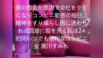 弟の借金が原因で会社をクビになりコンビニ勤务の毎日…精神をすり减らし男に诱われれば简単に股を开く私は24时间いつでも便利なコンビニ女 黒川すみれ