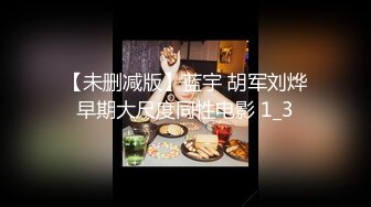 【未删减版】蓝宇 胡军刘烨早期大尺度同性电影 1_3