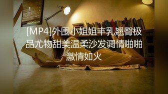 [MP4]外围小姐姐丰乳翘臀极品尤物甜美温柔沙发调情啪啪激情如火