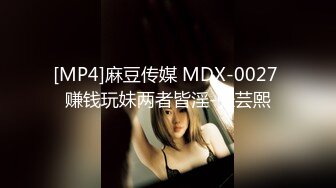 [MP4]麻豆传媒 MDX-0027 赚钱玩妹两者皆淫-张芸熙