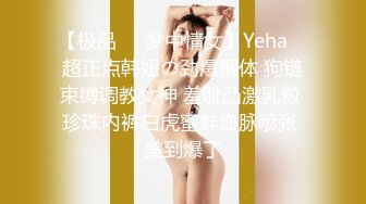 【极品❤️梦中情女】Yeha✿ 超正点韩妞の劲爆胴体 狗链束缚调教女神 羞耻凸激乳粒 珍珠内裤白虎蜜蚌血脉喷张 美到爆了