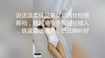 说话温柔极品美女，肉丝短裙撕裆，翘起屁股手指轻轻插入，跳蛋震动骚穴，低低呻吟好听