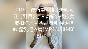 [2DF2] 最新重磅推荐爆乳网红『野百合』vip新作-模拟女友和你开房 极品爆乳 淫语呻吟 露乳毛衣篇[MP4/148MB][BT种子]