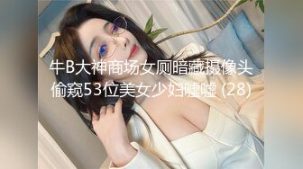 牛B大神商场女厕暗藏摄像头偷窥53位美女少妇嘘嘘 (28)