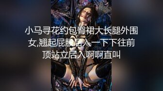 小马寻花约包臀裙大长腿外围女,翘起屁股后入一下下往前顶站立后入啊啊直叫