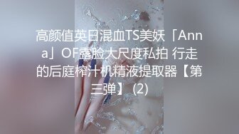 高颜值英日混血TS美妖「Anna」OF露脸大尺度私拍 行走的后庭榨汁机精液提取器【第三弹】 (2)