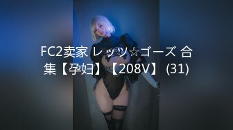 FC2卖家 レッツ☆ゴーズ 合集【孕妇】【208V】 (31)